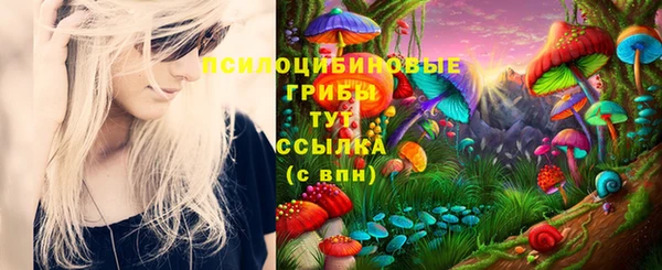 амф Богданович