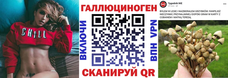 Галлюциногенные грибы GOLDEN TEACHER  Володарск 